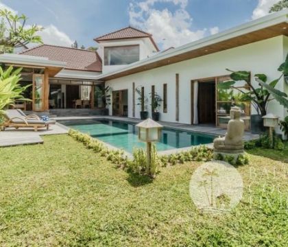 Cotonaster Villa