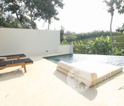 Villa Jungle 4
