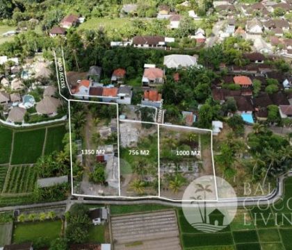 For rent, Land 1000, 756, 1350 Sqm