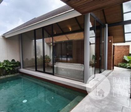Villa Opad Ubud C1