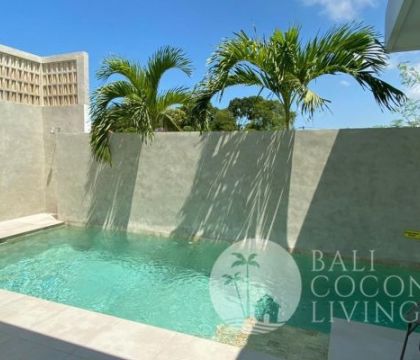 Villa Jungle 3