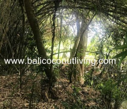 Land For sale 4,16 are