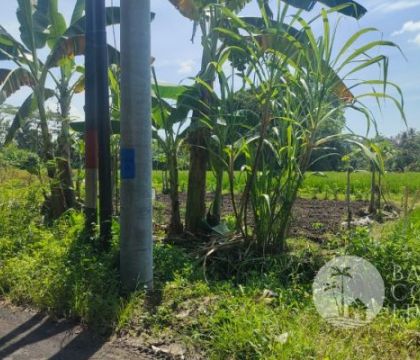 52,95 Sqm, Land for rent