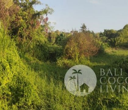 Land for lease, 20 are