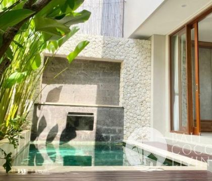 Dandelions Villa Seminyak