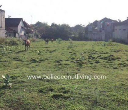Land for lease 10 are