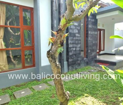 Rumah Yeti