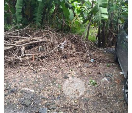 For rent, 5 Are land