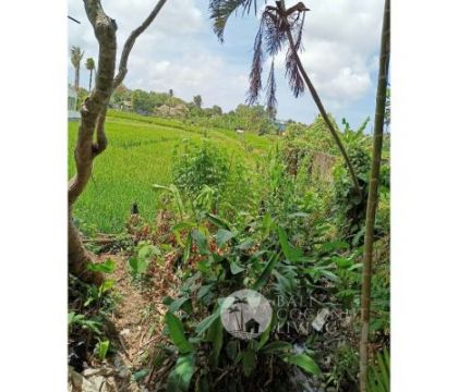 4,95 Are, land for rent