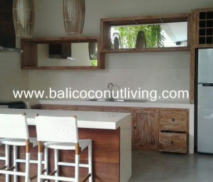 Villa Vicente