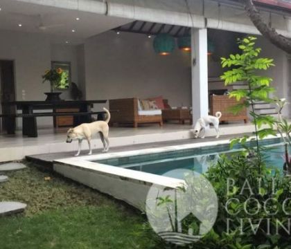 Villa Dove