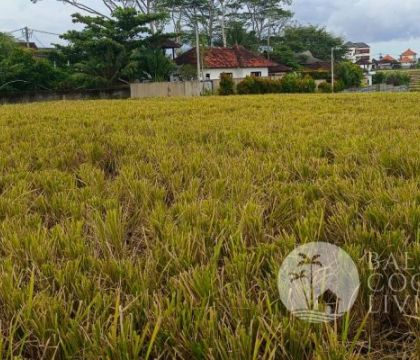 5 Are land, For lease