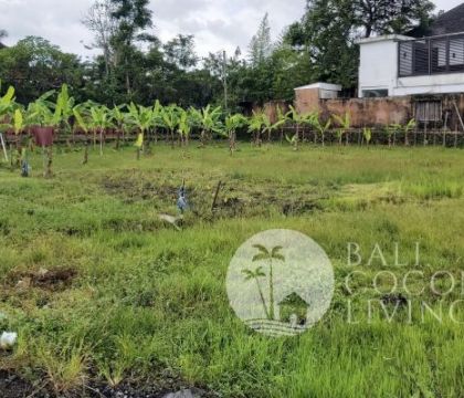 1145 sqm, Land for lease 