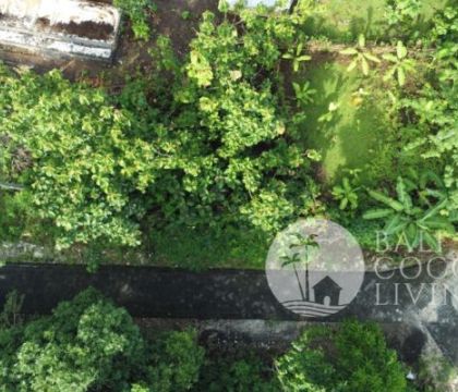 Land 300 sqm, For lease