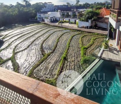Pasadena Bali Estate 4