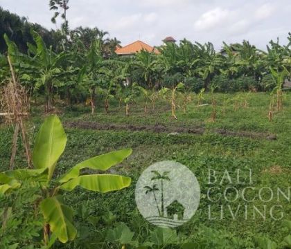4 Are, Land for rent