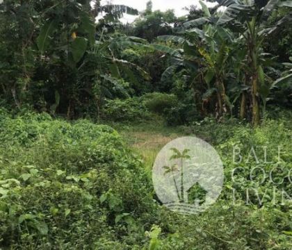 307 Sqm, Land for sale
