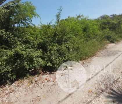 1430 Sqm, Land for rent