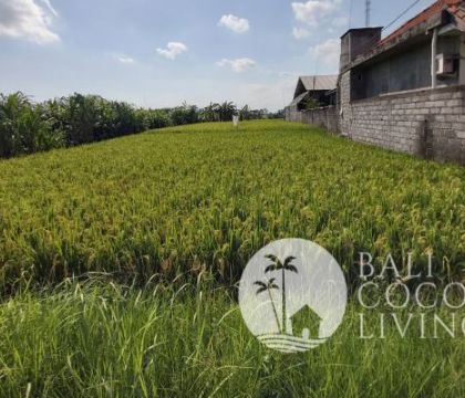 6 Are, Land for rent