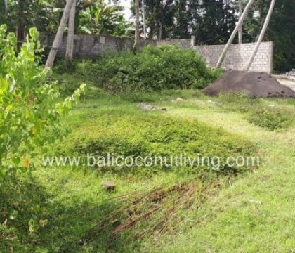 Land for lease 4 are