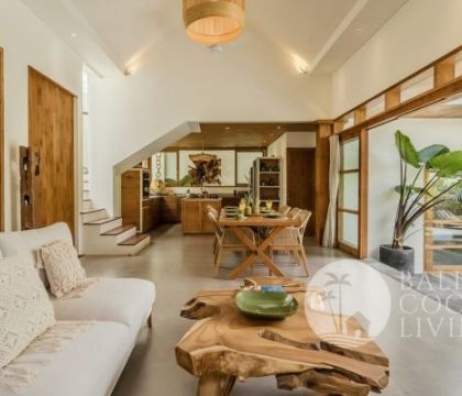 Cotonaster Villa