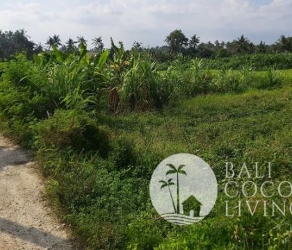6 Are, Land For Sale