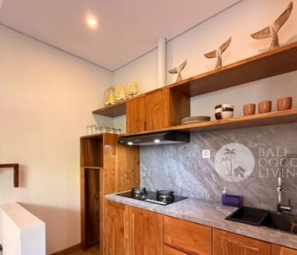 Rustic Star Villa 25