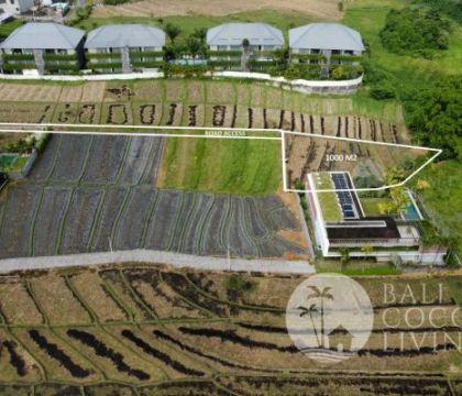 For lease, 10 Are land