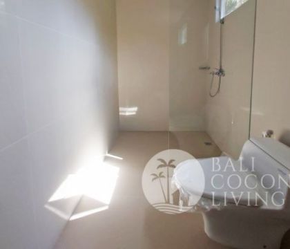 Apartment Leka 1