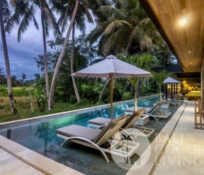 Villa Arana