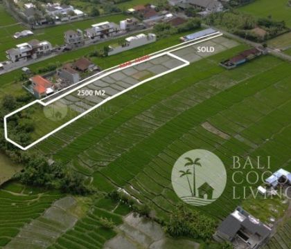 For sale, Land 25 are