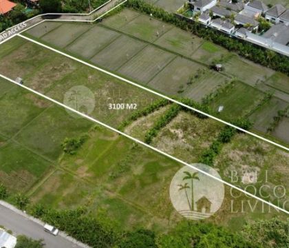 31 Are land, For lease