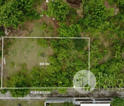 For lease Land, 300 Sqm