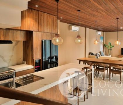 Villa Aska S9 