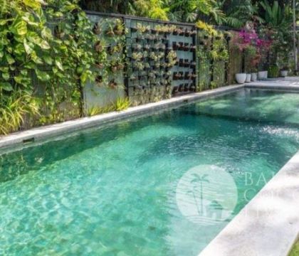 Villa Galapagos