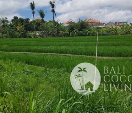 550 Sqm, Land for sale