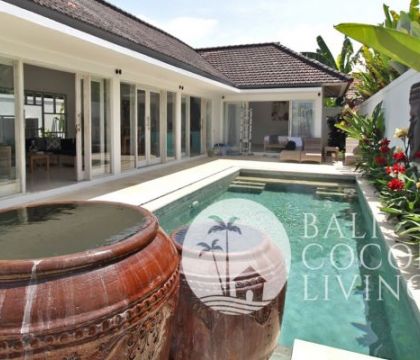 Villa Vina 1