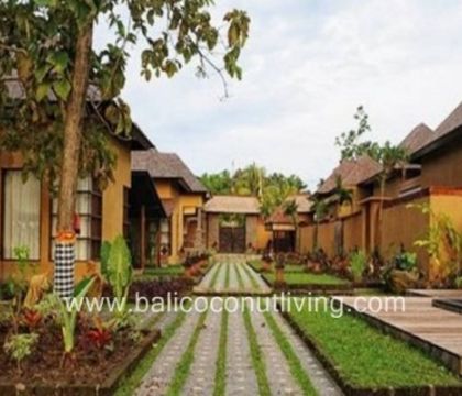 Villa Thyme