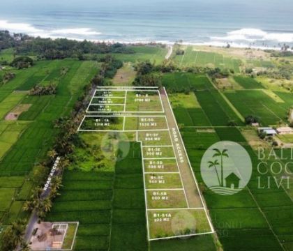 Land For Sale - Tabanan