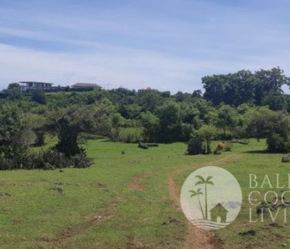 Land for sale, 800 sqm