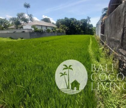 Land for lease 8 are