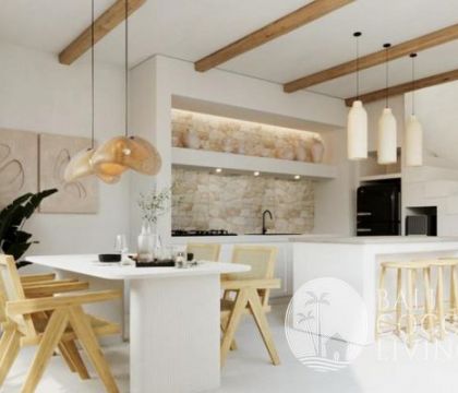 Rice Villas 1