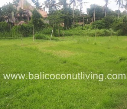 Land For Lease Umalas 3 are 