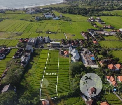 For lease, 25,5 Are land