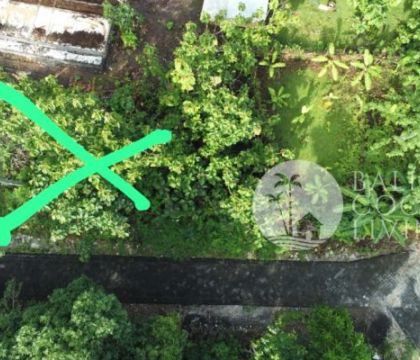 Land 300 sqm, For lease