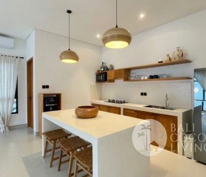 Villa White Rock