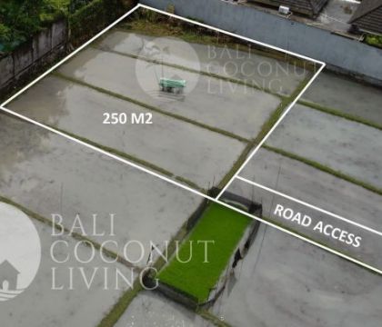 Villa Chili 3