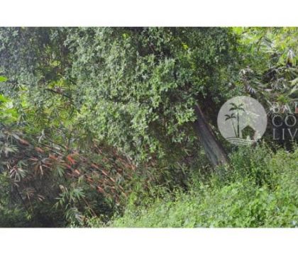1000sqm land, For rent