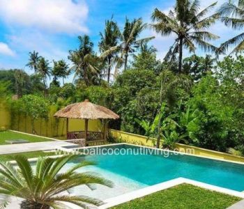 Villa Kelapa