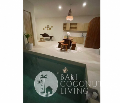 Villa Copenhagen Sanur